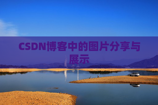 CSDN博客中的图片分享与展示